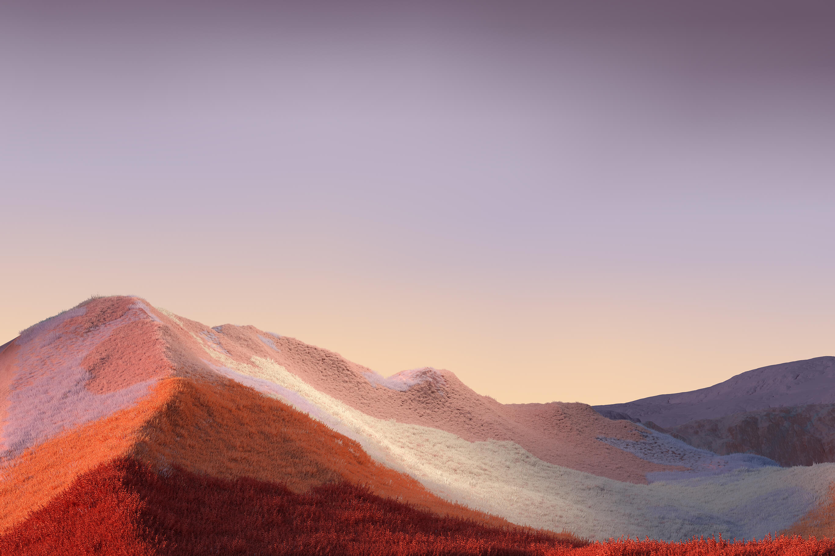 Wallpaper 7